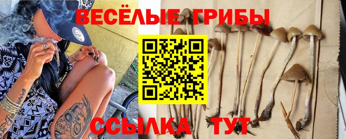 Псилоцибиновые грибы мицелий  Вход с VPN  Галлюциногенные грибы мухоморы  Чебаркуль 