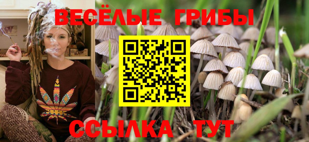 Галлюциногенные грибы мицелий Чебаркуль